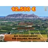 Sad mandarynkowy 2400 m2 Cullera, Walencja